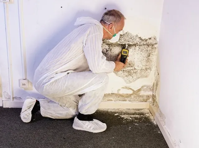 Mold, Lead & Mildew Remediation by Cape Cod Roofing & Siding